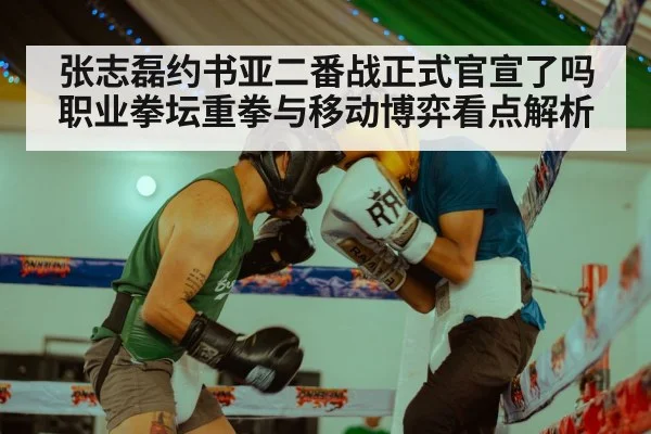 张志磊约书亚二番战正式官宣了吗 职业拳坛重拳与移动博弈看点解析