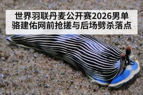 世界羽联丹麦公开赛2026男单 骆建佑网前抢搓与后场劈杀落点
